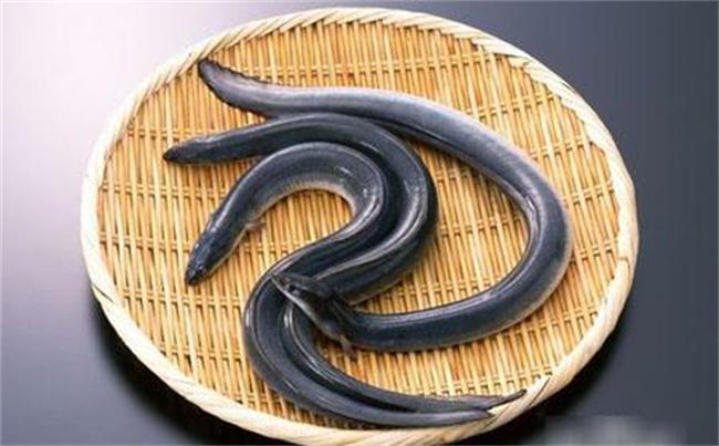 厦门鳗鱼出口日本连续7年零通报