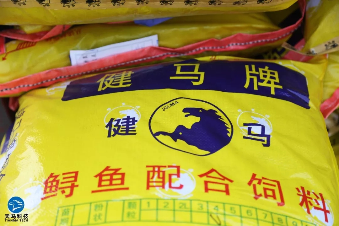 健马牌鲟鱼配合饲料安全好养鱼安心吃好鱼